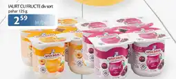 Unicarm Iaurt cu fructe div sort pahar Ofertă