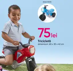 Tricicletă