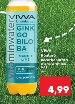 Kaufland VIWA Băutură necarbonatată Ofertă