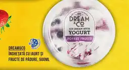 Mega Image DREAM&CO Înghețată cu iaurt și fructe de pădure Ofertă