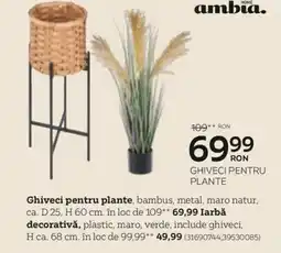 XXXLutz Ghiveci pentru plante Ofertă
