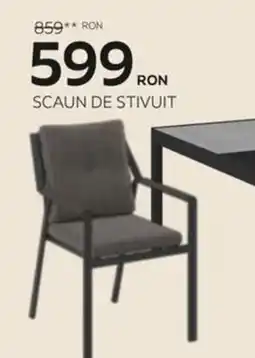 XXXLutz Scaun de stivuit Ofertă