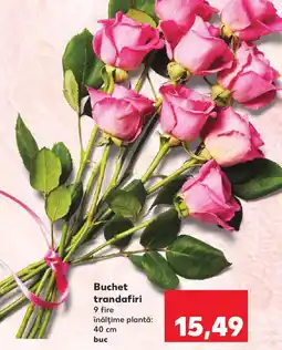 Kaufland Buchet trandafiri Ofertă