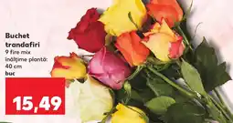 Kaufland Buchet trandafiri Ofertă