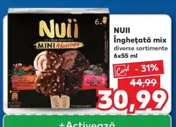 NUII Înghețată mix