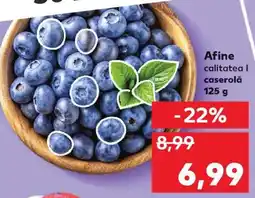 Kaufland Afine Ofertă