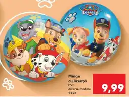 Kaufland Minge cu licență Ofertă