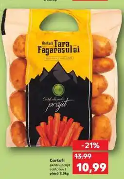 Kaufland Cartofi Ofertă