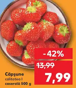 Kaufland Căpşune Ofertă