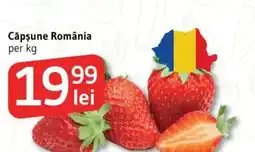 Supeco Căpșune România Ofertă