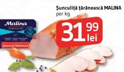 Supeco Şunculiţă ţărănească MALINA Ofertă