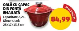 Oală cu capac din fontă emailată