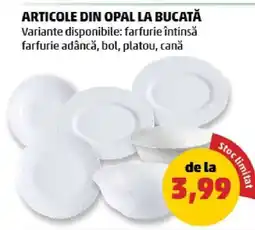 Penny Articole din opal la bucătărie Ofertă
