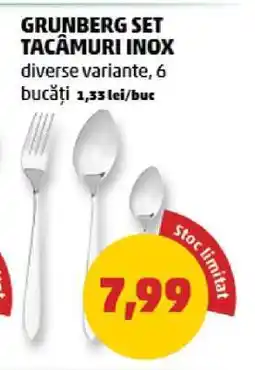 Penny GRUNBERG SET TACĂMURI INOX Ofertă