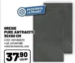 Ambient Gresie pure antracite Ofertă