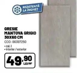 Ambient Gresie mantova grigio Ofertă