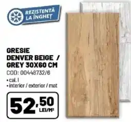Ambient Gresie Denver beige / grey Ofertă