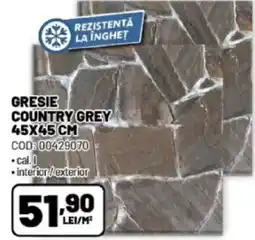 Ambient Gresie country grey Ofertă