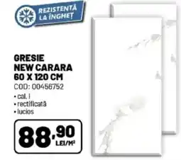 Ambient Gresie new carara Ofertă