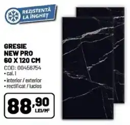 Ambient Gresie new pro Ofertă