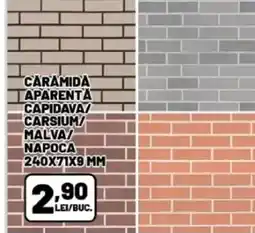 Ambient Caramida aparenta capidava carsium/ malva napoca Ofertă