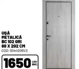 Ambient Ușă metalică BC 102 Gri Ofertă