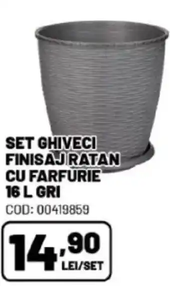 Ambient Set ghiveci finisaj ratan cu farfurie Ofertă