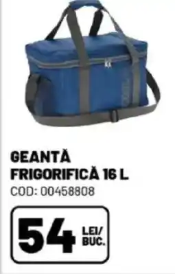 Ambient Geantă frigorifică Ofertă