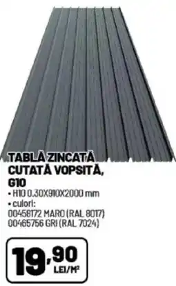 Ambient Tabla zincata cutată vopsită, G10 Ofertă