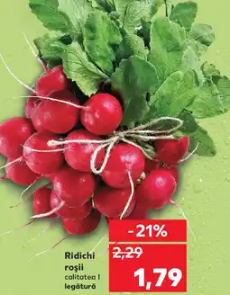 Kaufland Ridichi roşii Ofertă