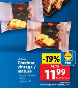 Lidl MILBONA Cheddar vintage / mature Ofertă