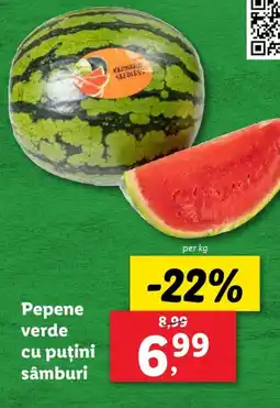 Lidl Pepene verde cu puțini sâmburi Ofertă