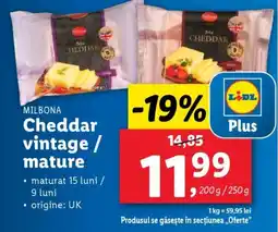 Lidl MILBONA Cheddar vintage/ mature Ofertă