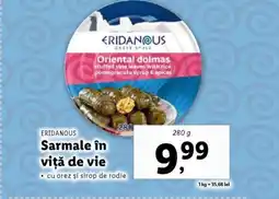 Lidl ERIDANOUS Sarmale în viţă de vie Ofertă