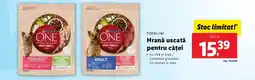 Lidl PURINA One Hrană uscată pentru căței Ofertă