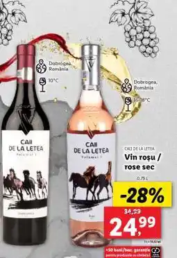 Lidl CAII DE LA LETEA Vin roșu / rose sec Ofertă