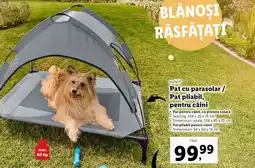 Lidl Zoofari Pat cu parasolar/ Pat pliabil, pentru câini Ofertă