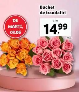 Lidl Buchet de trandafiri Ofertă