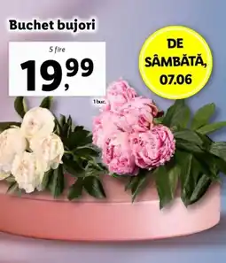 Lidl Buchet bujori Ofertă