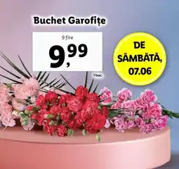 Lidl Buchet Garofițe Ofertă