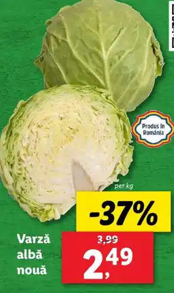 Lidl Varză alba nouǎ Ofertă