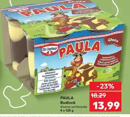 Kaufland PAULA Budincă Ofertă