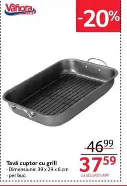 Selgros Tavǎ cuptor cu grill Ofertă