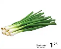 Selgros Ceapă verde Ofertă