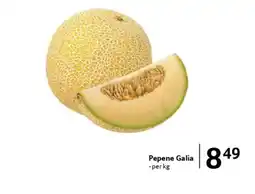 Selgros Pepene Galia Ofertă