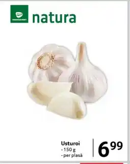 Selgros Usturoi Ofertă