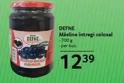 Selgros DEFNE Măsline întregi colosal Ofertă