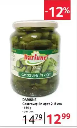 Selgros DARINNE Castraveţi în oțet Ofertă