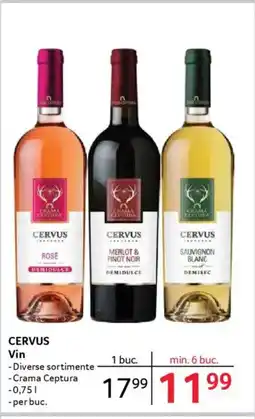 Selgros CERVUS Vin Ofertă