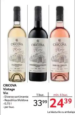 Selgros CRICOVA Vintage Vin Ofertă
